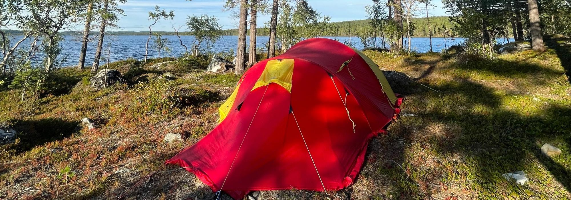 Natt i naturen med Barnas turlag