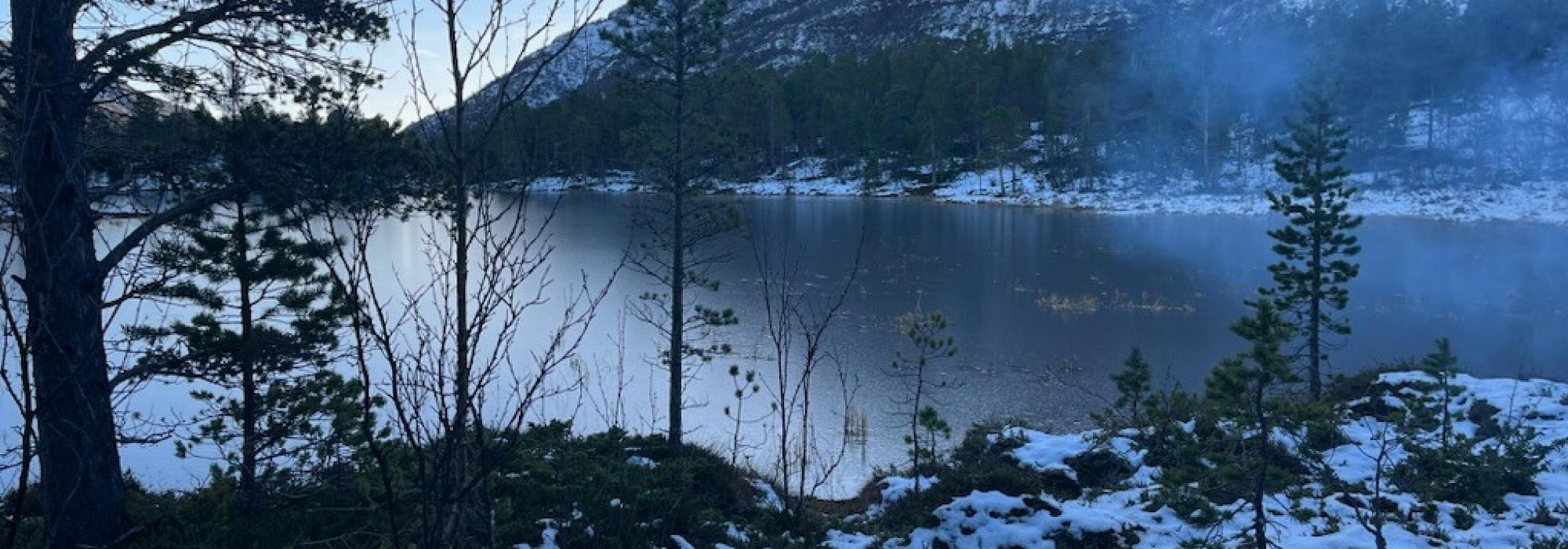 Seniortur i Kvenvikskogen