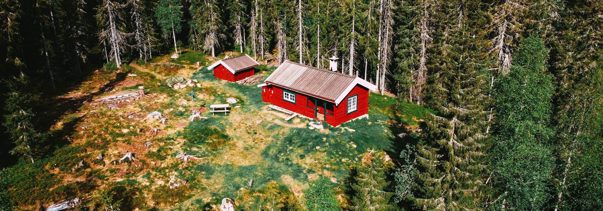 Oval pinsehelg i Nordmarka