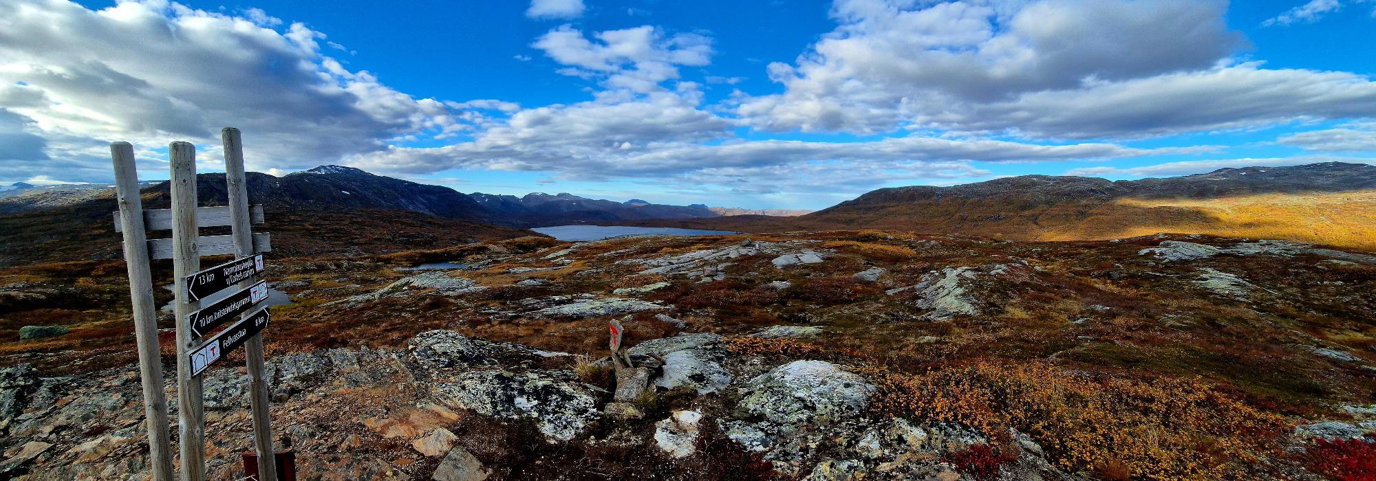 Fjelltreff ved Rosenvatn