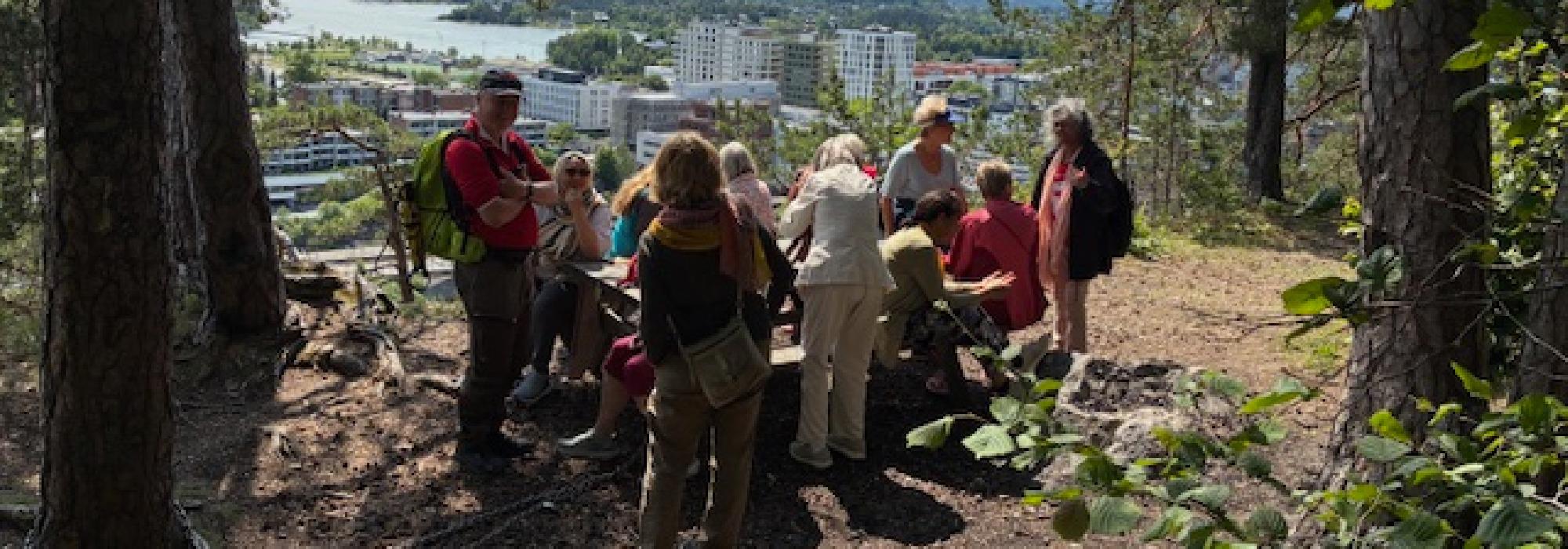 Aktiv i 100 Sandvika Ekstra Lett