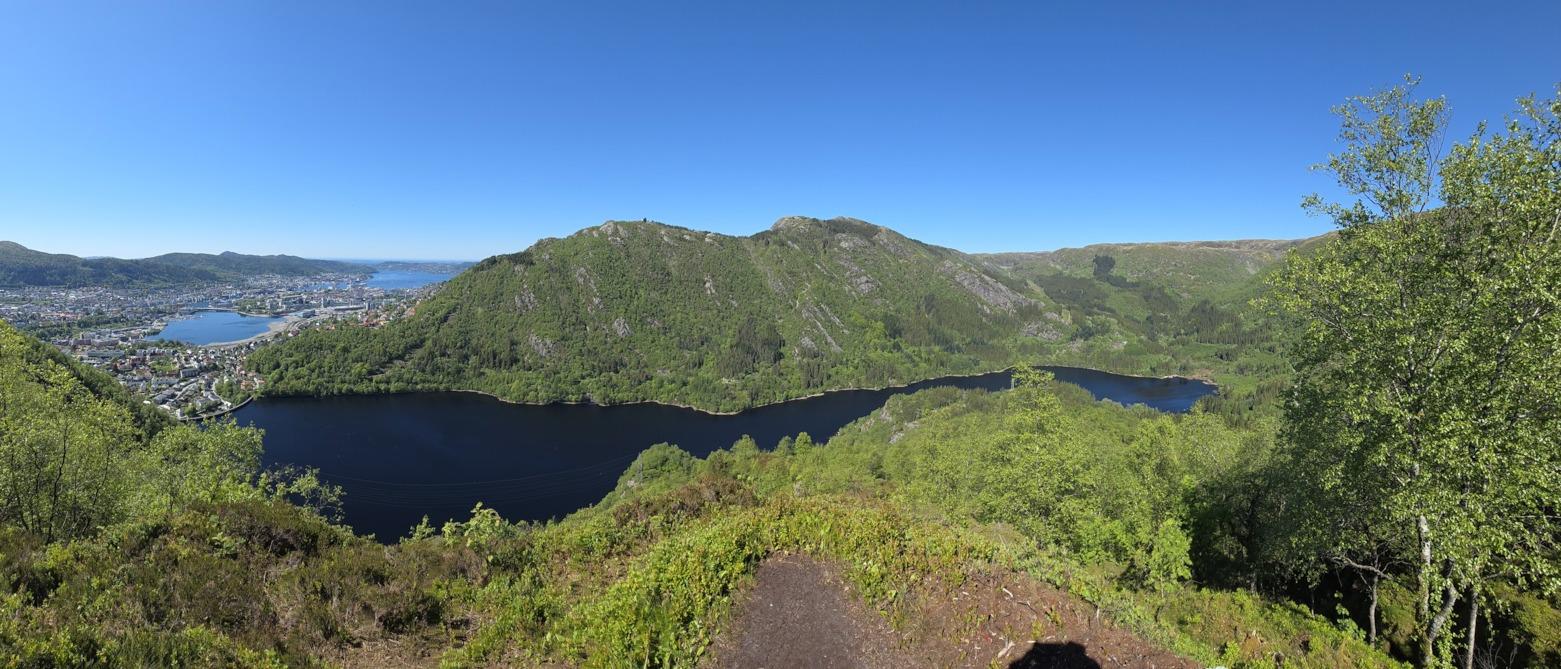 Ulriken via Ulrikseggen fra Svartediket