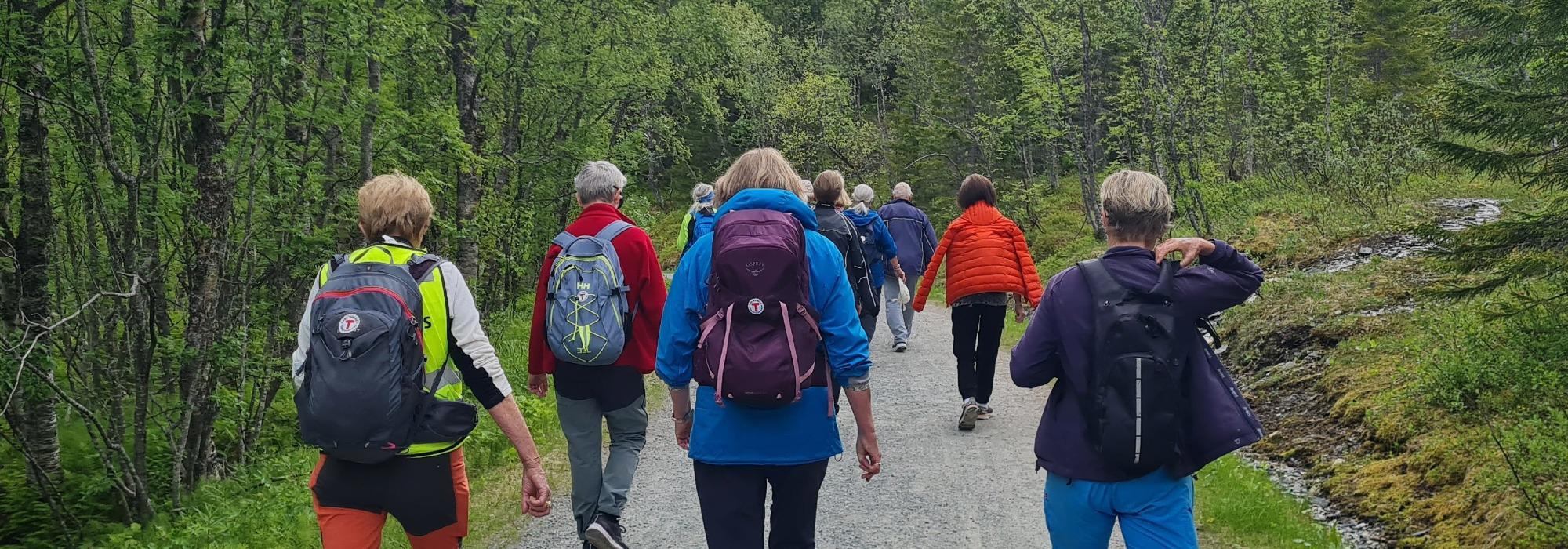 DNT senior Troms - Båthavna Tromsdalen til Gutta på skauen 16 juni