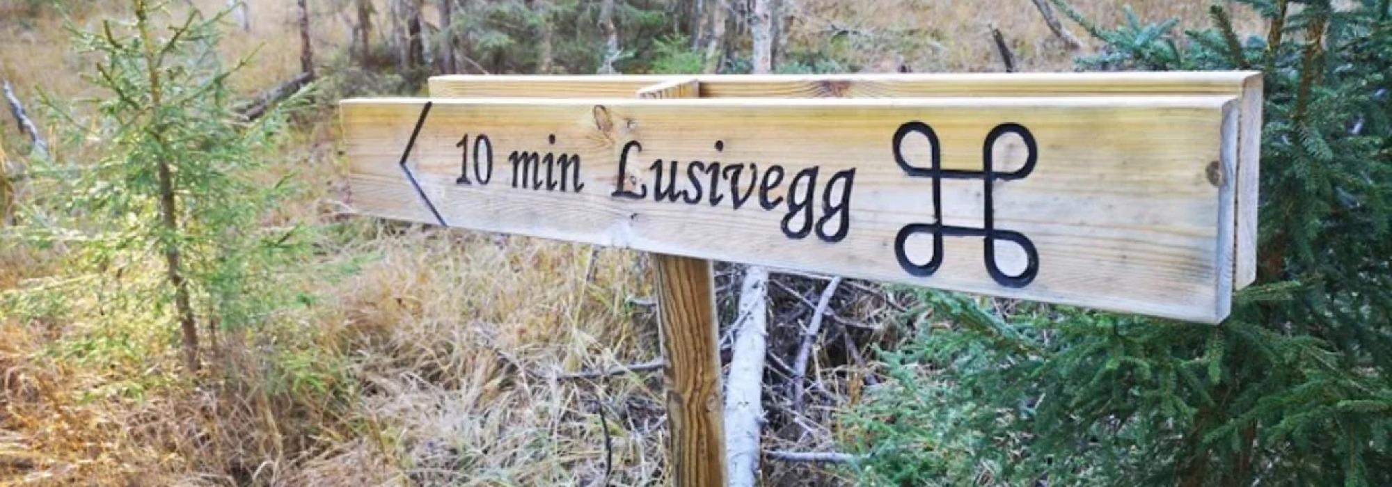 ÅSGRUPPE - MANDAGSTURER PÅ ØSTRE TOTEN: TORVFESTA - SKOMAKERTRJERN - LUSIVEGG