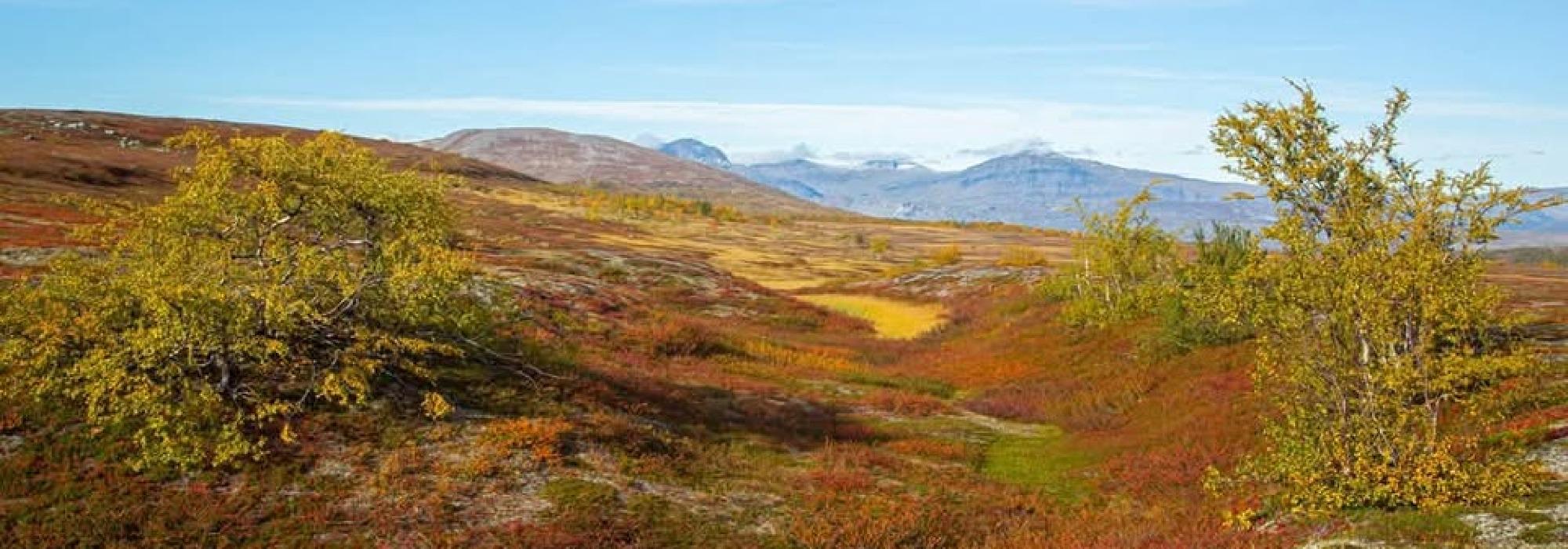 Fellestur fra Lønsdal til Storjord