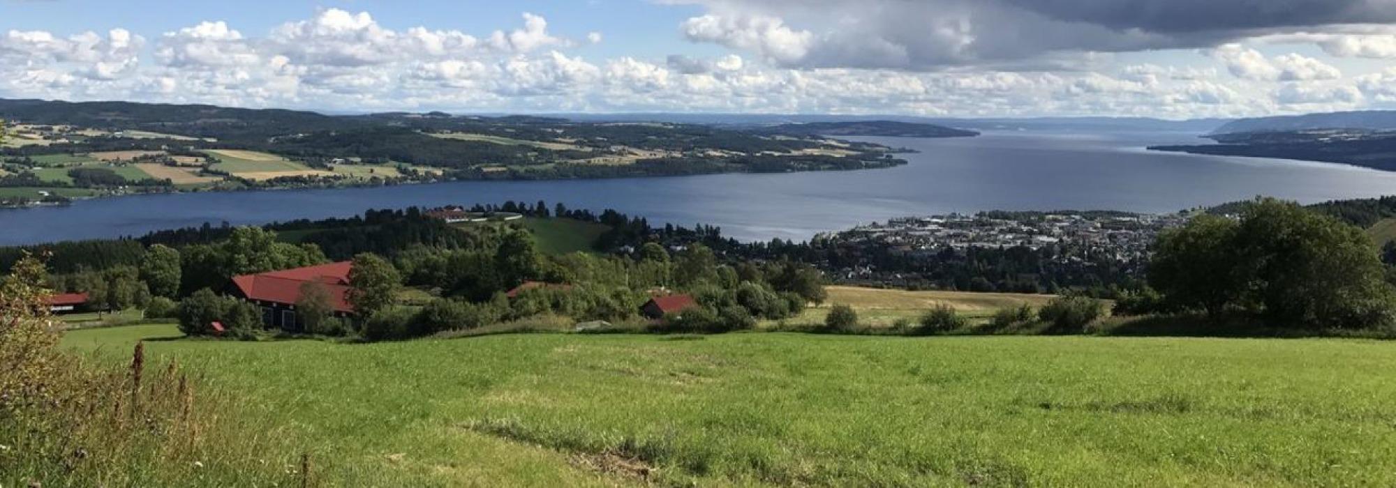 OPPDAG GJØVIKMARKA