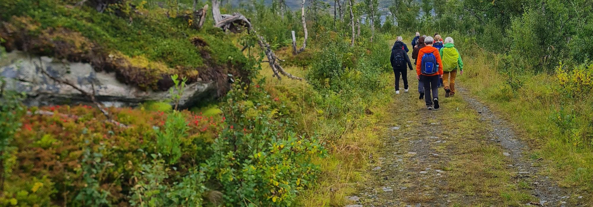 DNT Senior Troms Terrassen til Kroken alpinanlegget 2 juni