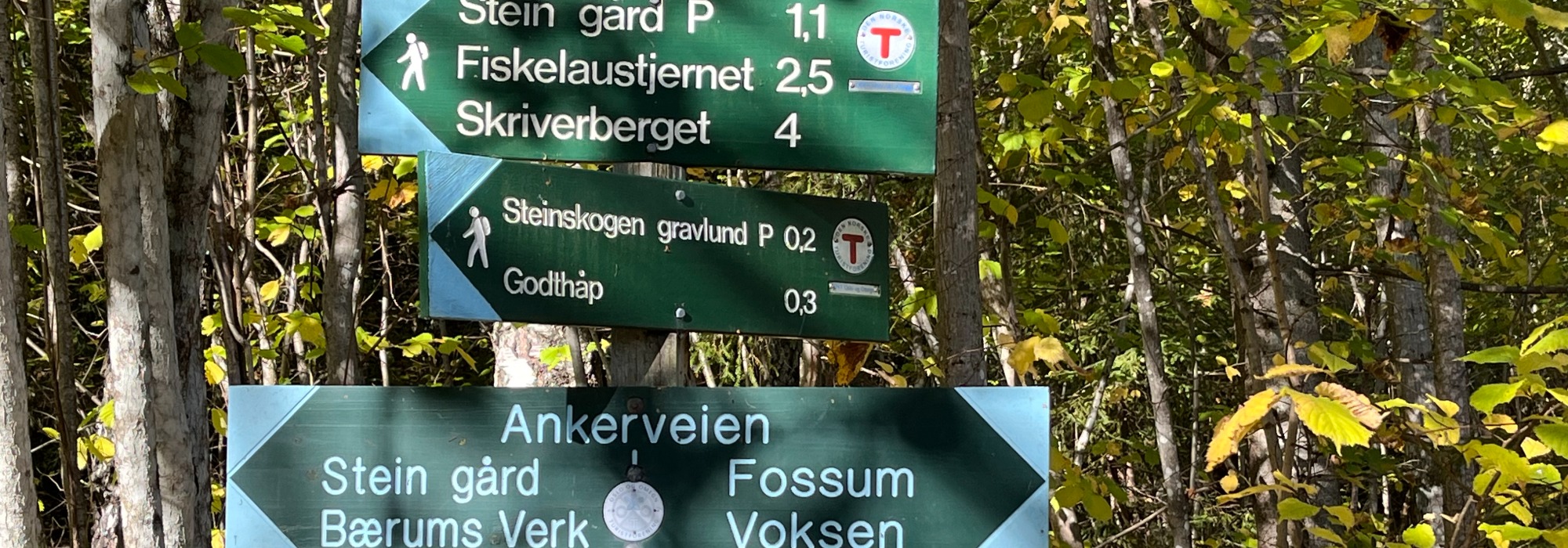 Aktiv i 100 Fredager fra Steinsskogen