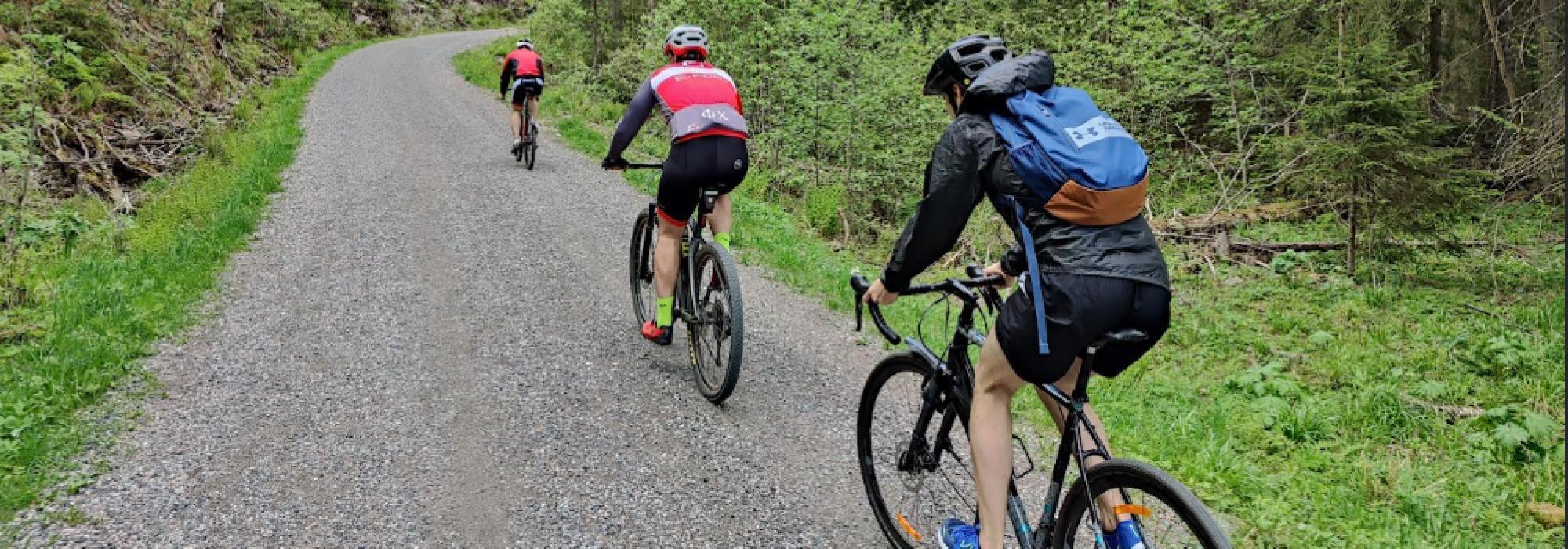 Sykkeltur med overnatting på Krokskogen (DNT Vandregruppa (26-45))