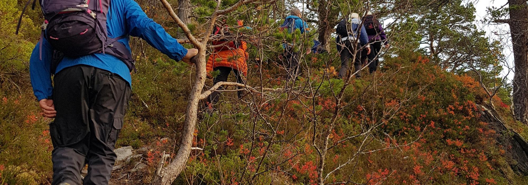 Tur Ertenvågdalen – Sandmoen – Saura