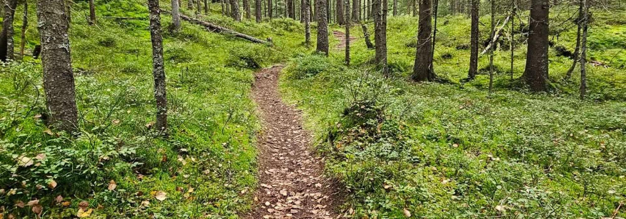 Søndagstur - Rundtur Lutvann
