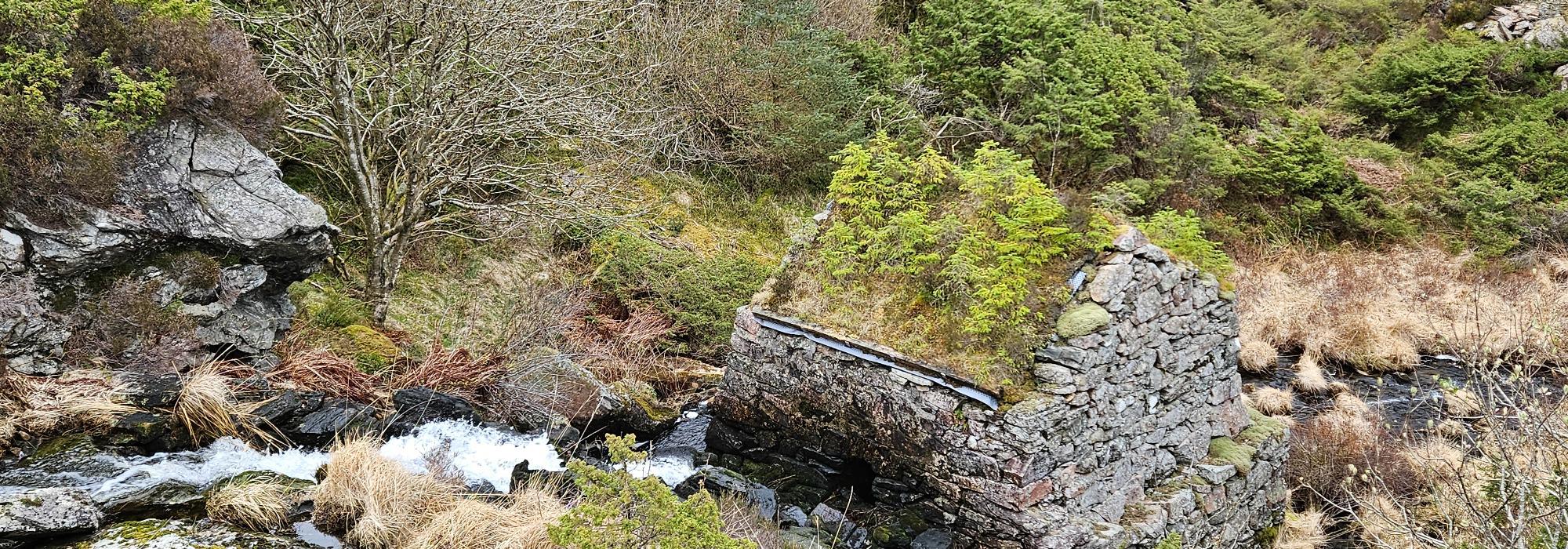 Onsdagsgruppa går til Kvedna, Kallestad