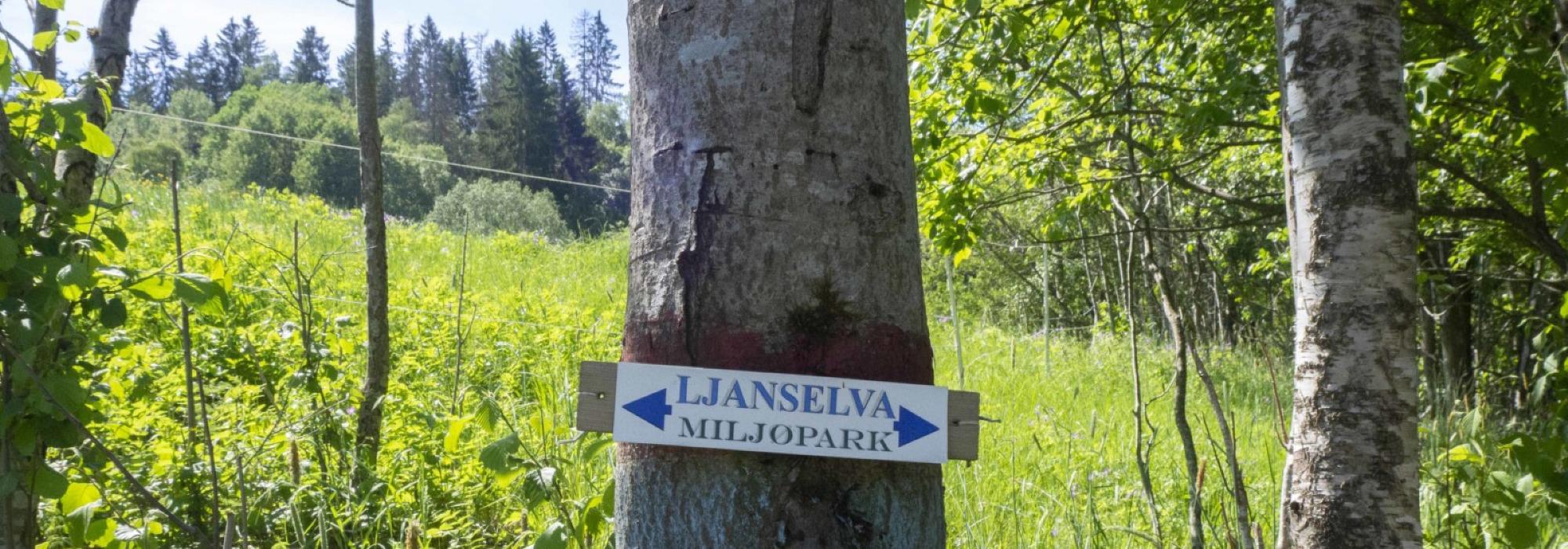 Internasjonal søndagstur - Vandretur langs Ljanselva til Hvervenbukta