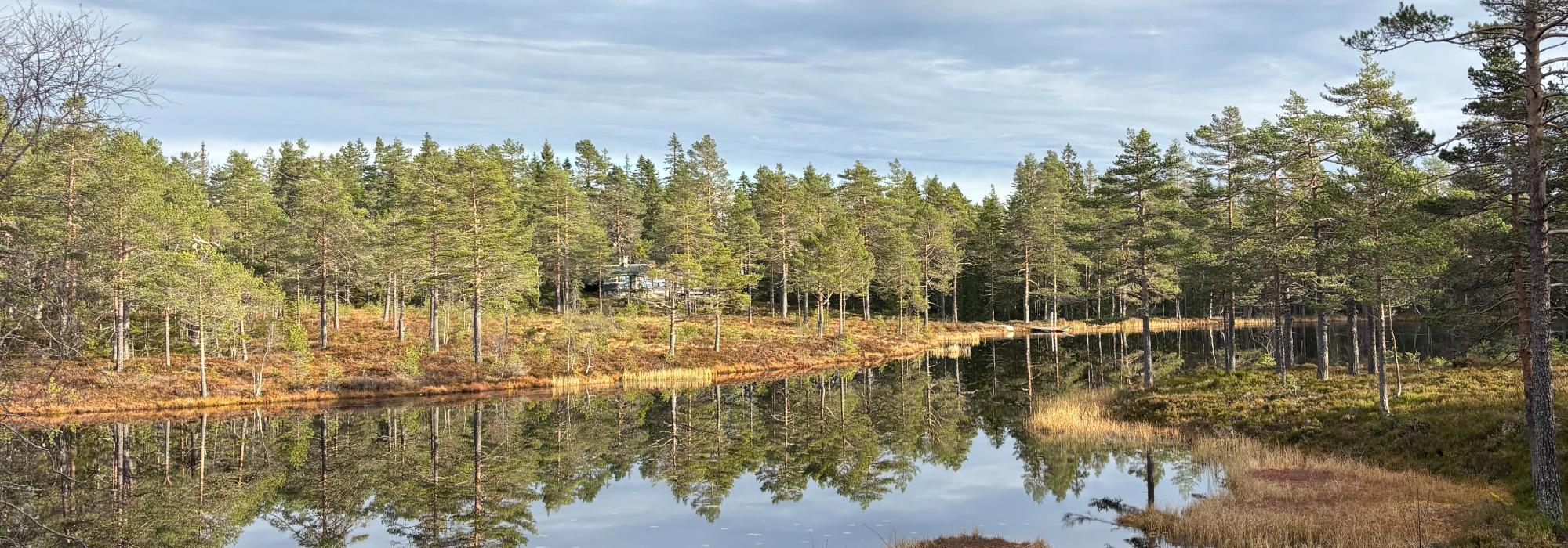 Bli med på høsttur til Åmotkollene og idylliske Kollevann!