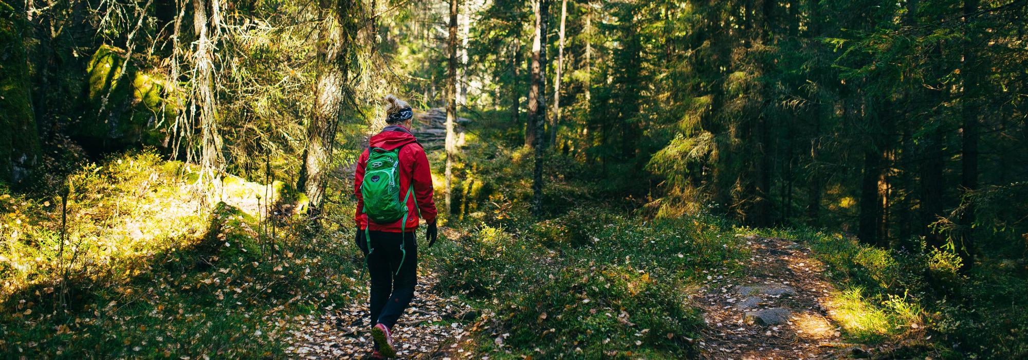 Tur til Holmefjell for Natur og matkultur