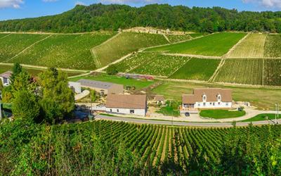 WSET1 15 august 2026