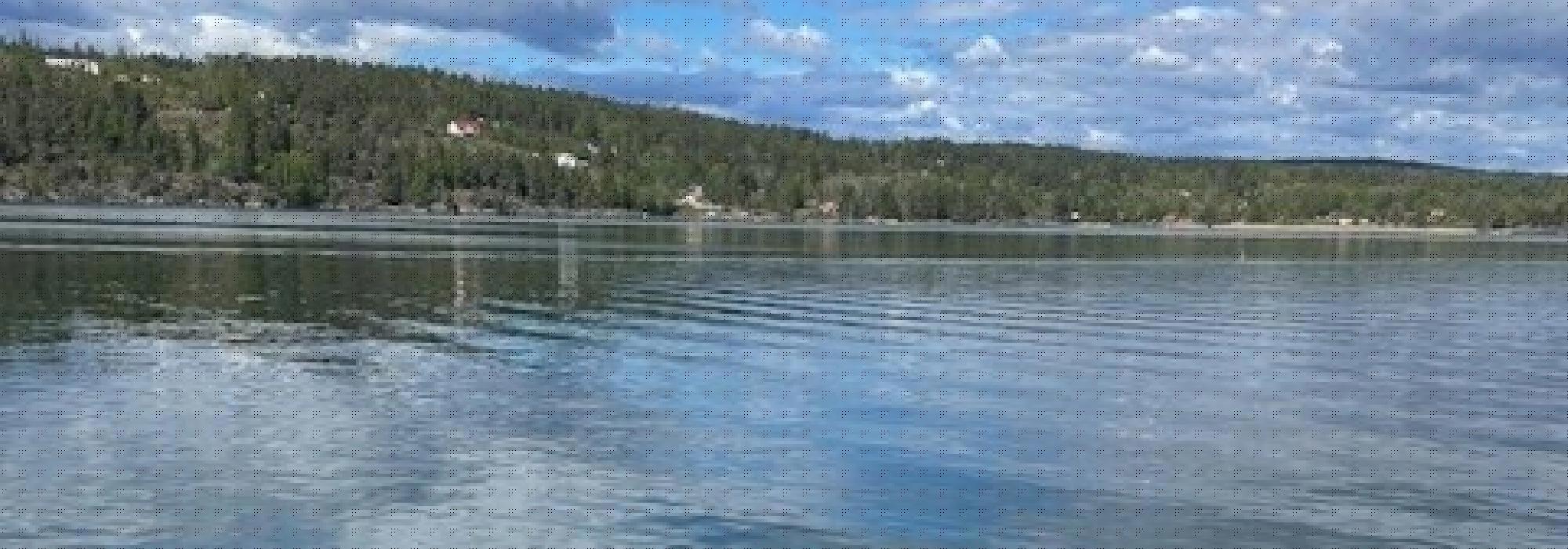 Søndagstur fra Breivoll til Hvervenbukta