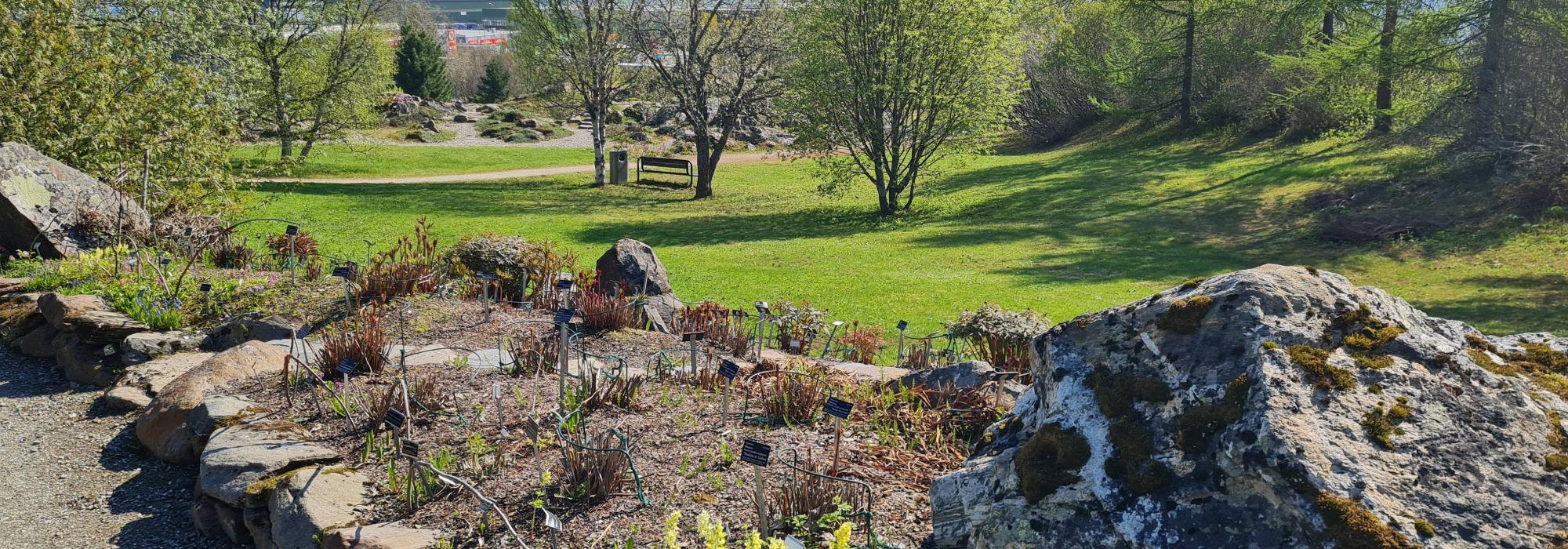 DNT senior Troms - Folkeparken - lysløypa til  Botanisk hage 30 juni