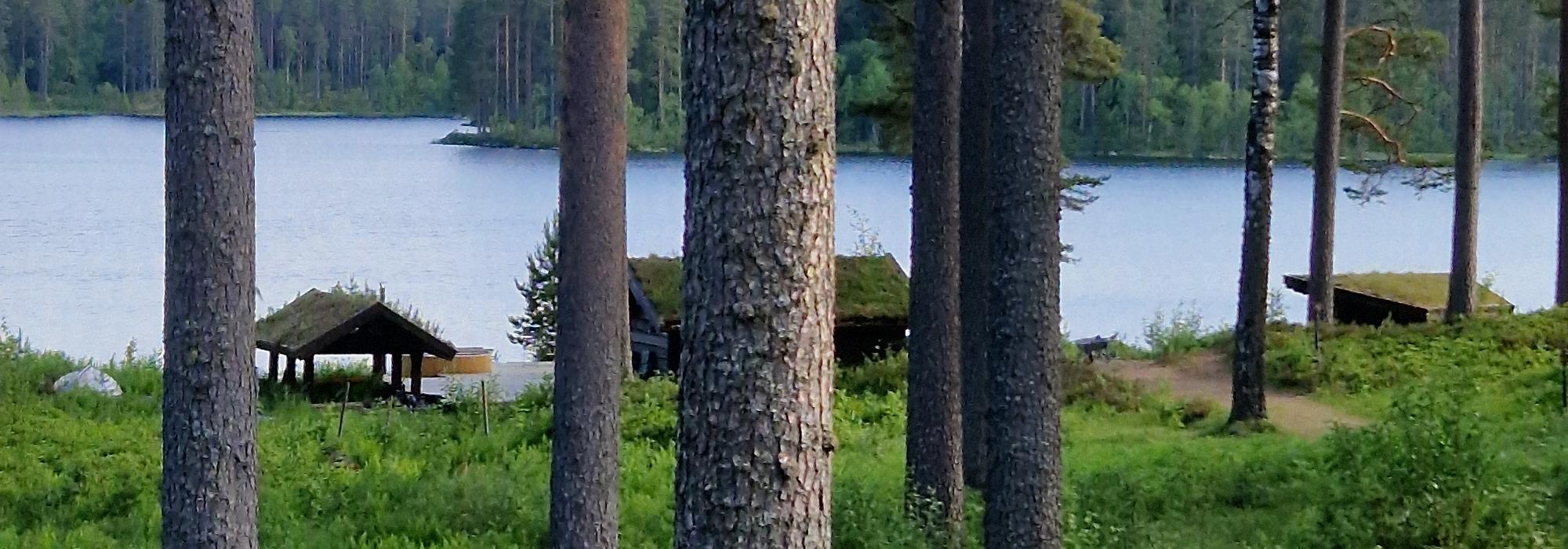 Helgetur langs Tronbølsætervegen i Sør-Odal