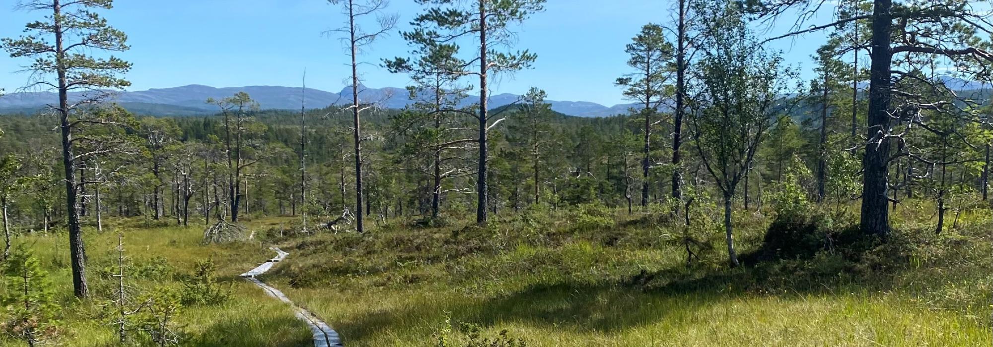 Stiløpetur til Storskarven 1171 moh med TT fjellsportgruppa (TTF)