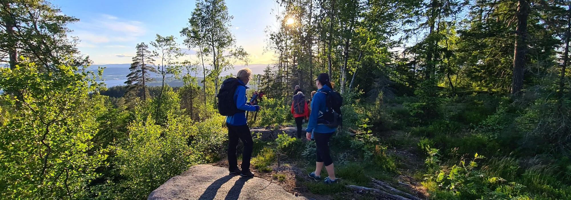 Sommerkveld på Herstadheia