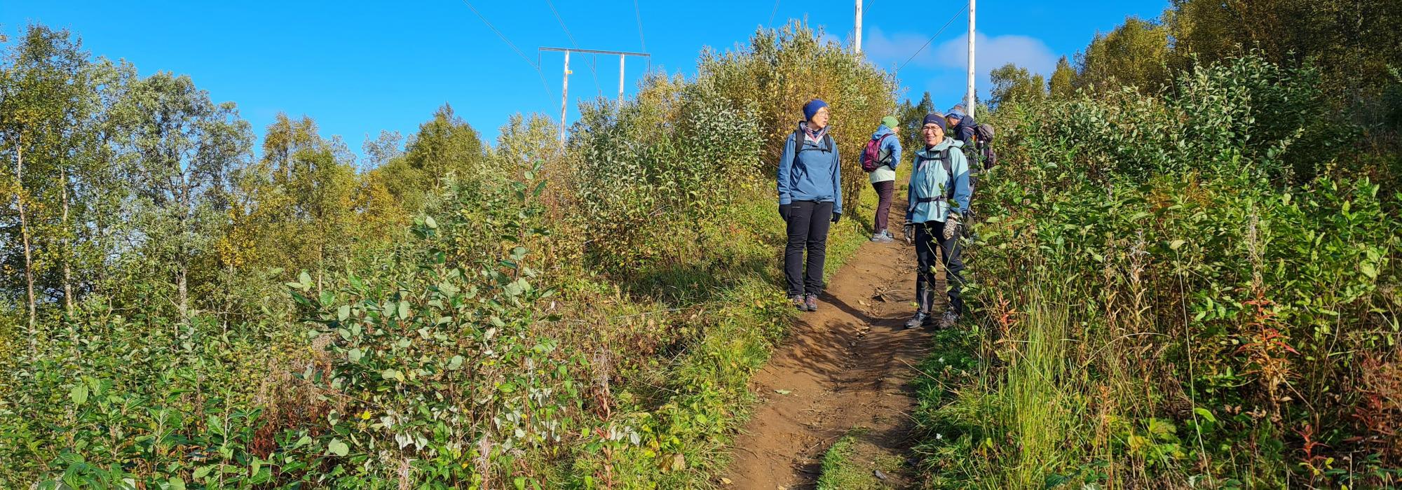 DNT Senior-Troms  Skulsfjord til gapahuken ved Kjoselva 25 august