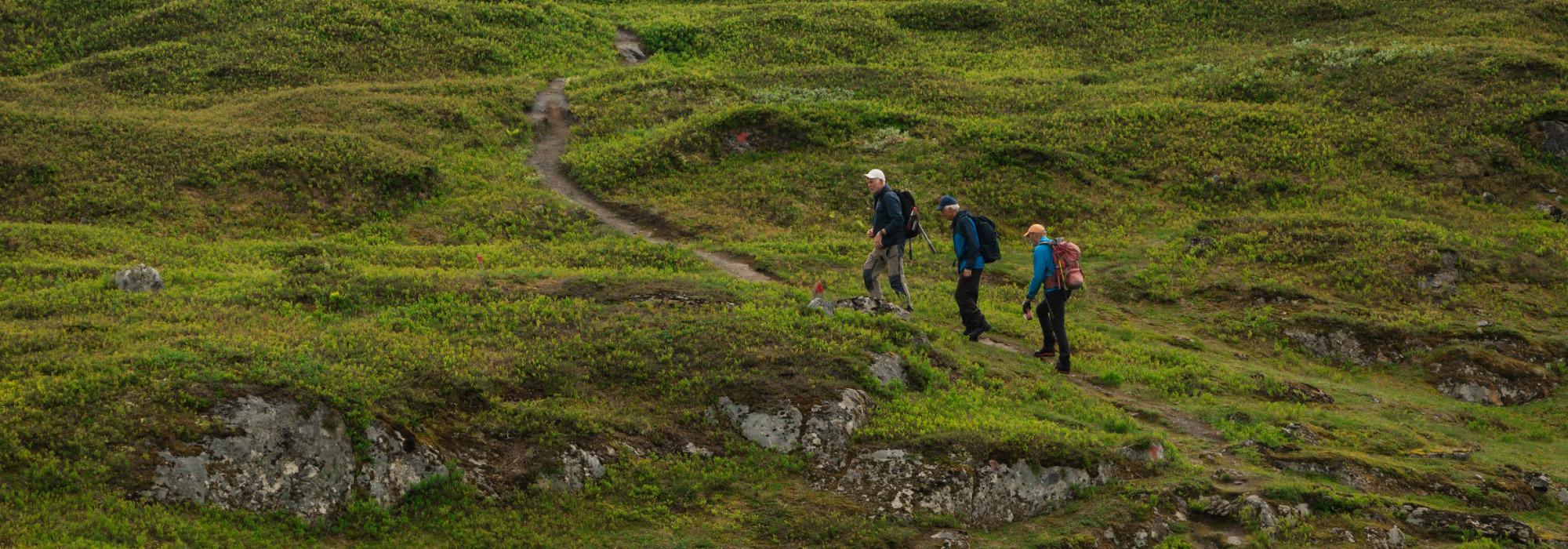 Fjellvåken (lang løype - 23 km) Bjørnhaugen- Folkeparken