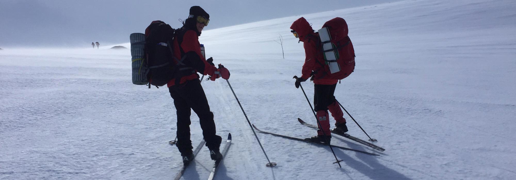 Vårskitur hytte-til-hytte - Hardangervidda (vv27)