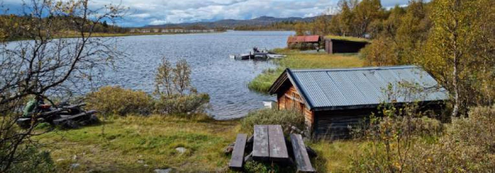 RØSSJØKOLLAN OG DJUPTJERNKAMPEN I SYNNFJELLET OG LANGSUA
