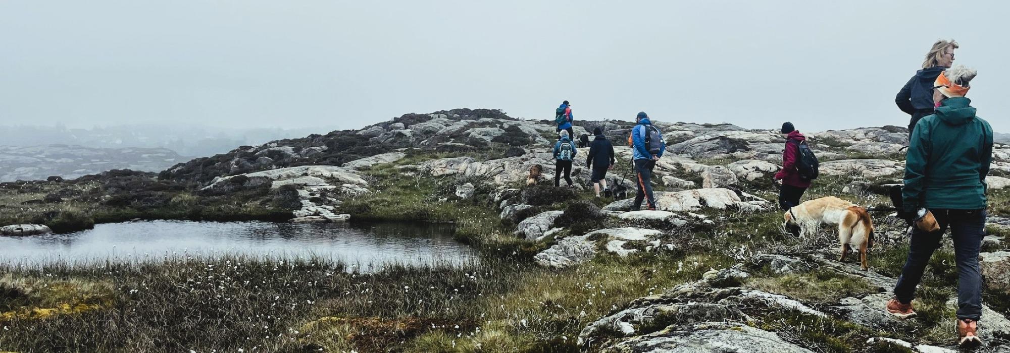 Hundevenner på tur | Blomvåg