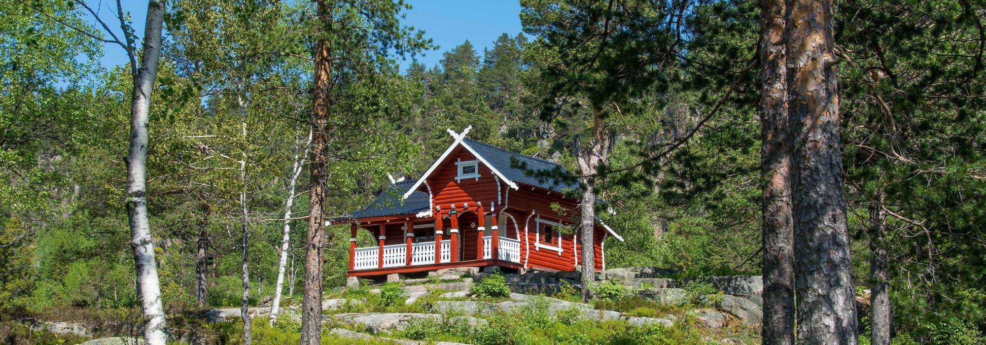 Barnas Turlag - Hengekøyetur til Goliaten