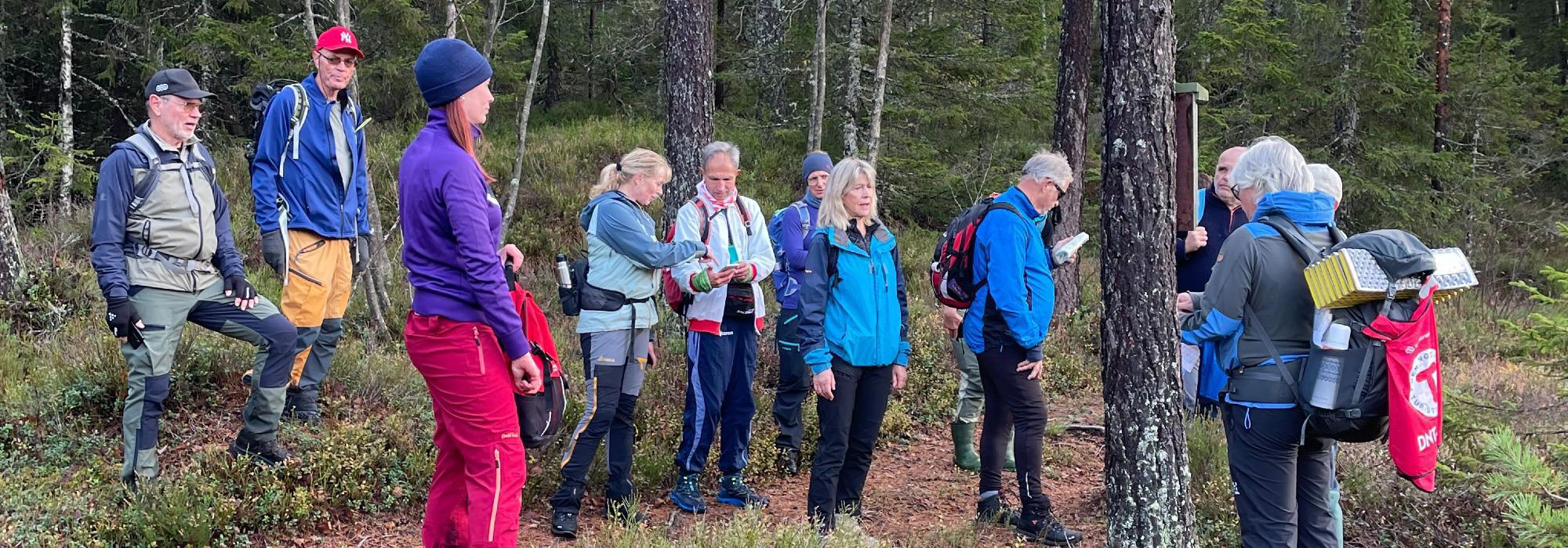 Vandring gjennom Sørmarka og Gaupesteinmarka