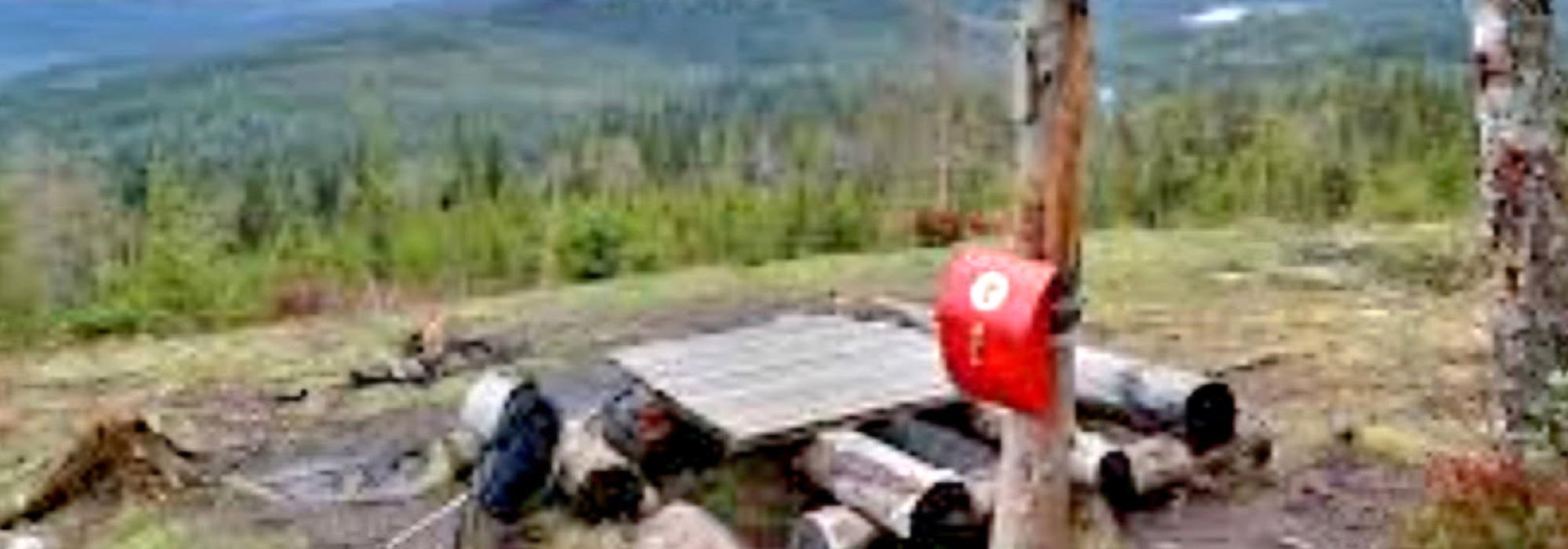 Kveldstur til Nipkollen