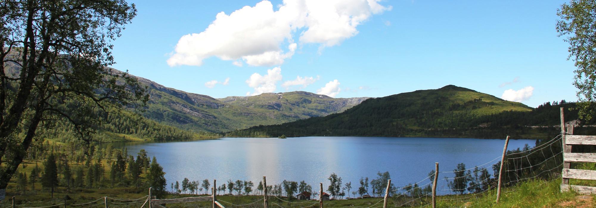 Gjengedalen og Petersenhytta med overnatting