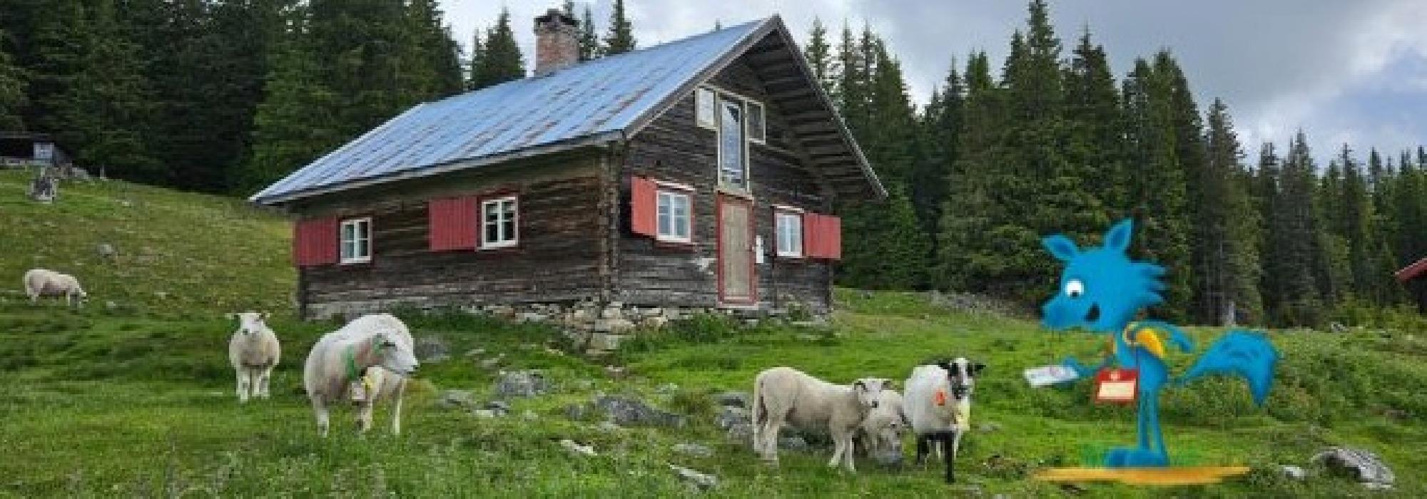 Barnas turlag - Kveldstur til Vollumssætra
