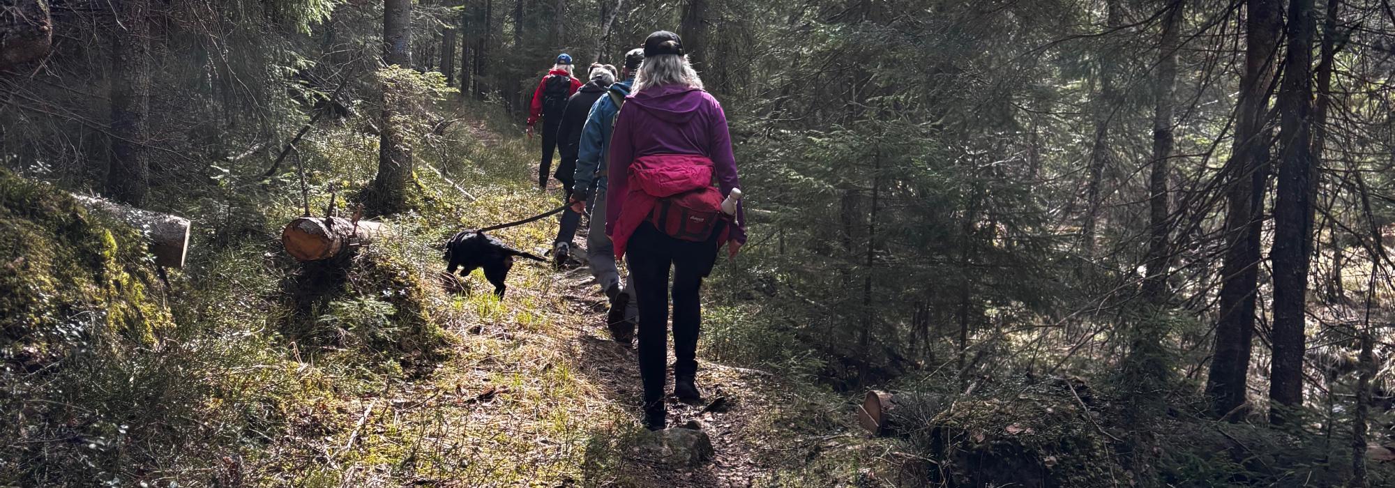 Rundtur i vakre Romeriksåsen til Prekestolen i Gjerdrum
