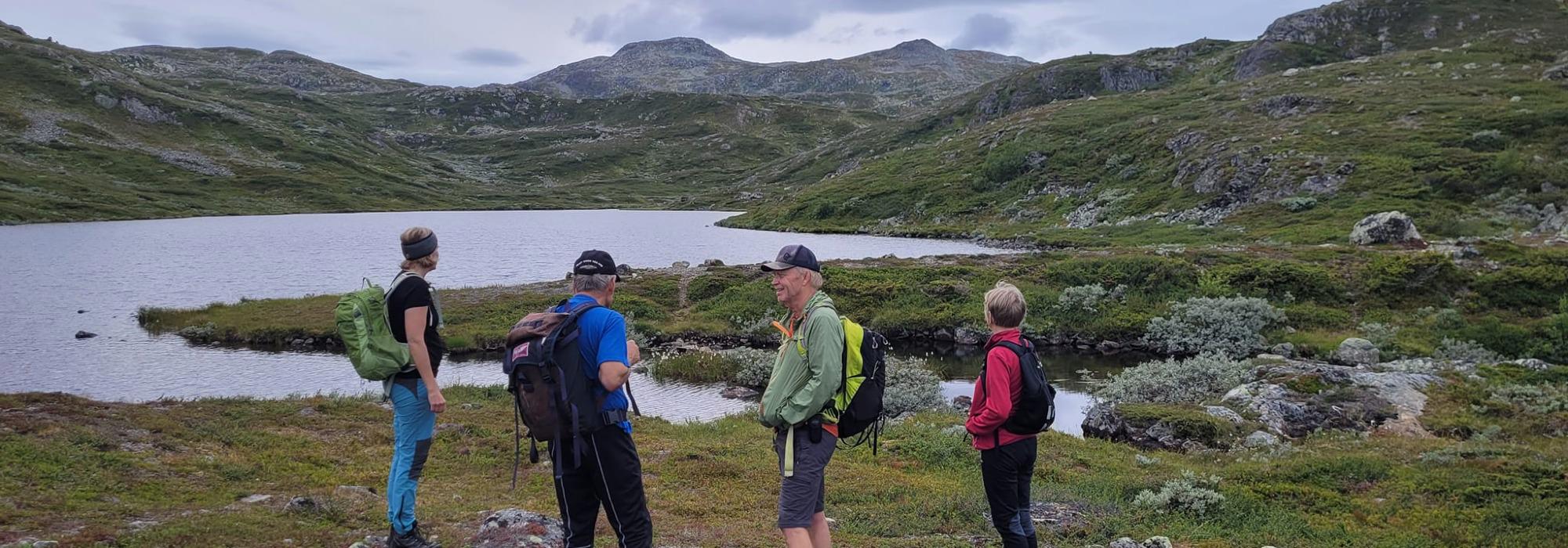 Fagersetvatnet - Nedre Veikjinn