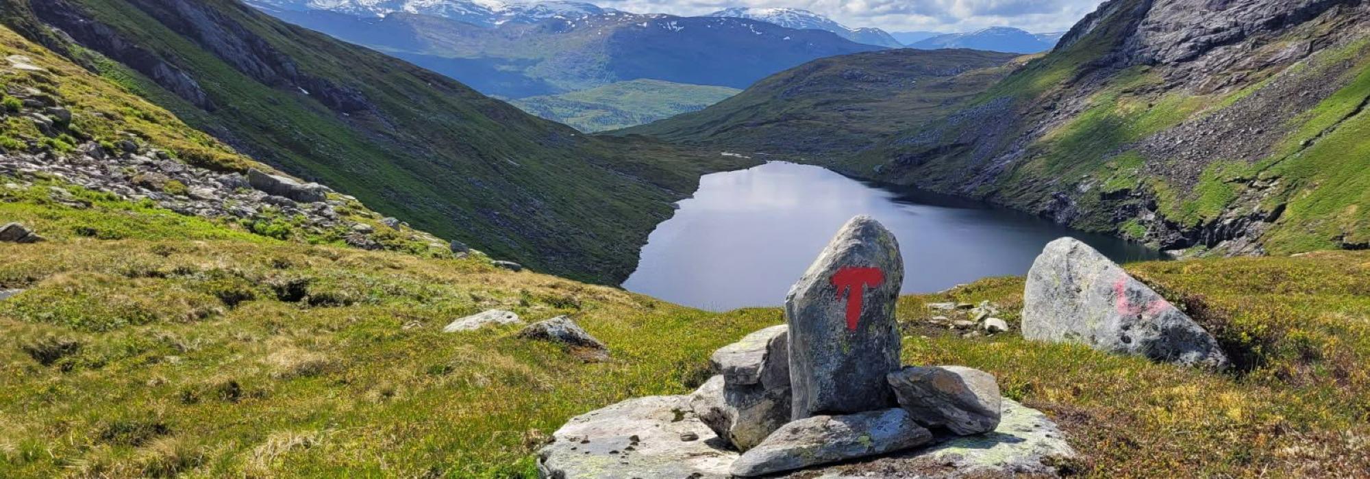 Midtveketur i Traudalen,25/6 NB! TORSDAG
