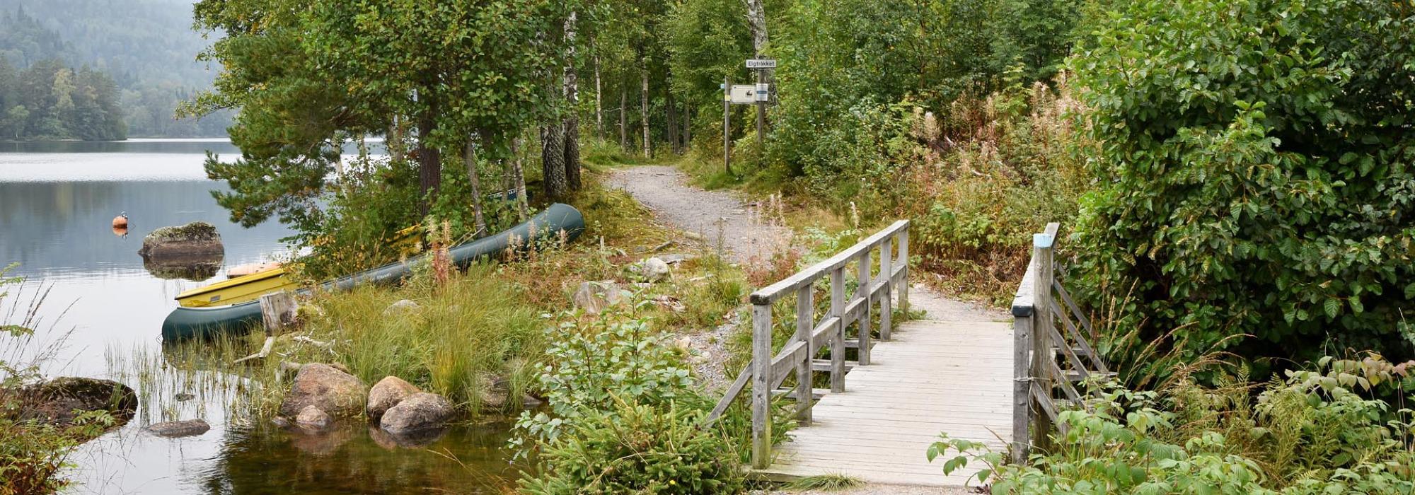 Minitopper`n - Fellestur til Elgtråkket i Siljan