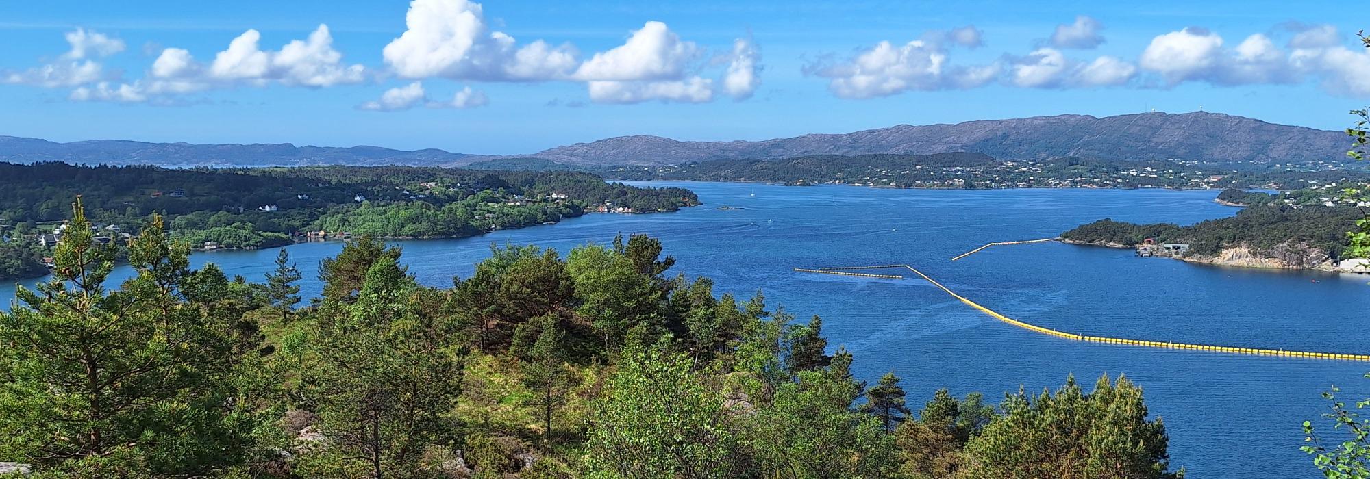 Onsdagsgruppen på tur til Knappenfjellet