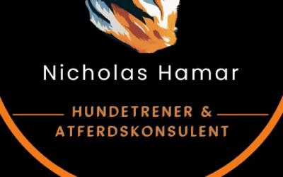 Hverdagslydighetskurs