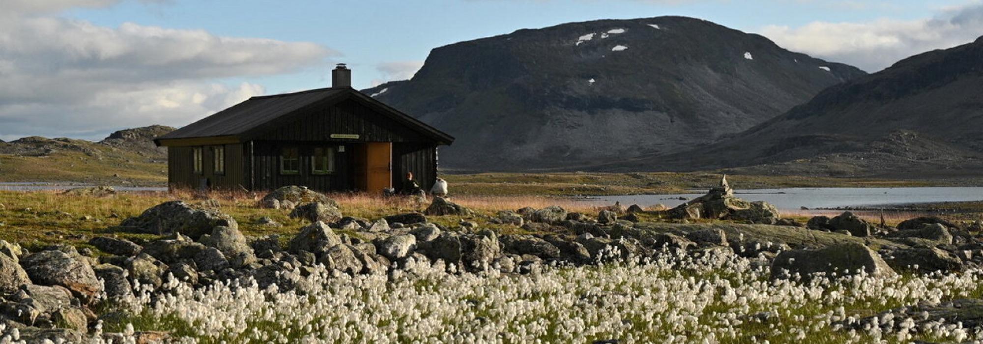 DNT Unge Vaksne: Langtur til Grindaflethytta
