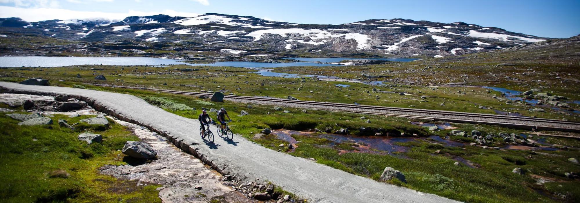 DNT Unge Vaksne: Rallarvegen