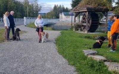 Pent i bånd og passering - helgekurs