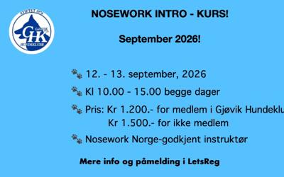 NOSEWORK INTRO-KURS 12.9. - 13.9.2026