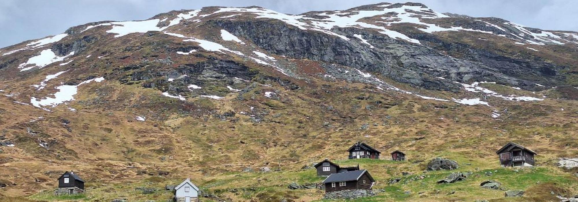 Senior: Tur frå Mørkve til Mørkvestølen