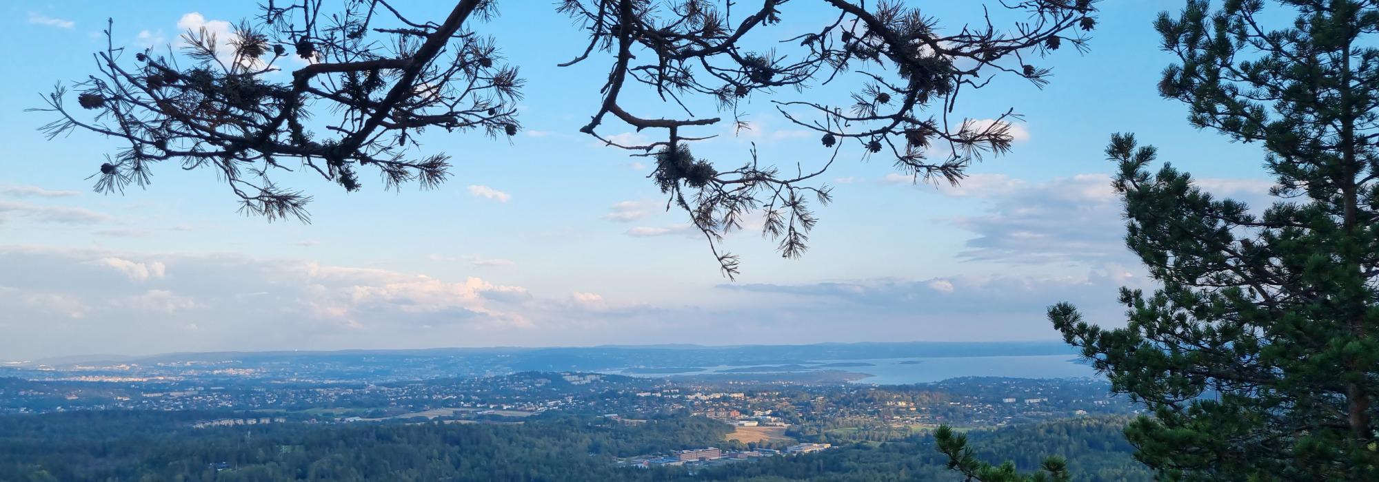 Kveldstur med supperast på Brunkollen