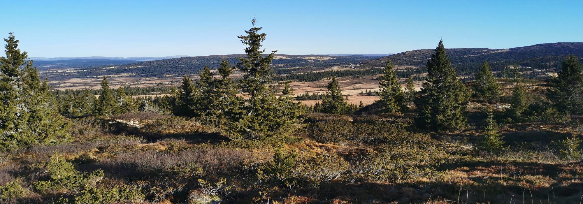 Formiddagstur Øyer -Knidalen - Hornsjø