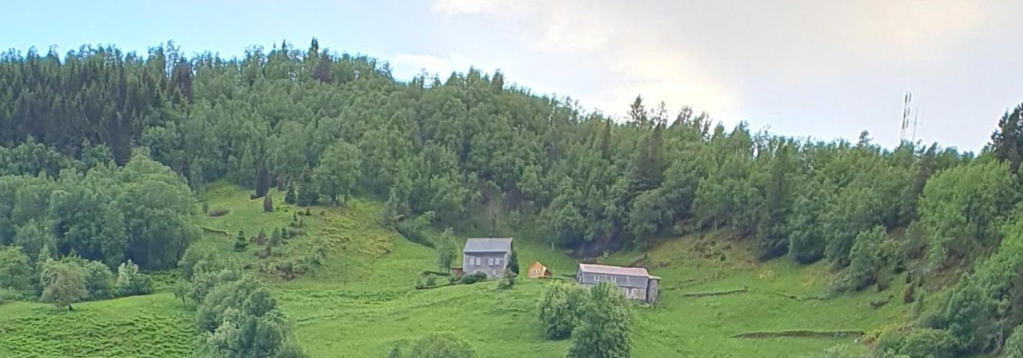 Natur & kultur - tur til Lia (Førde)