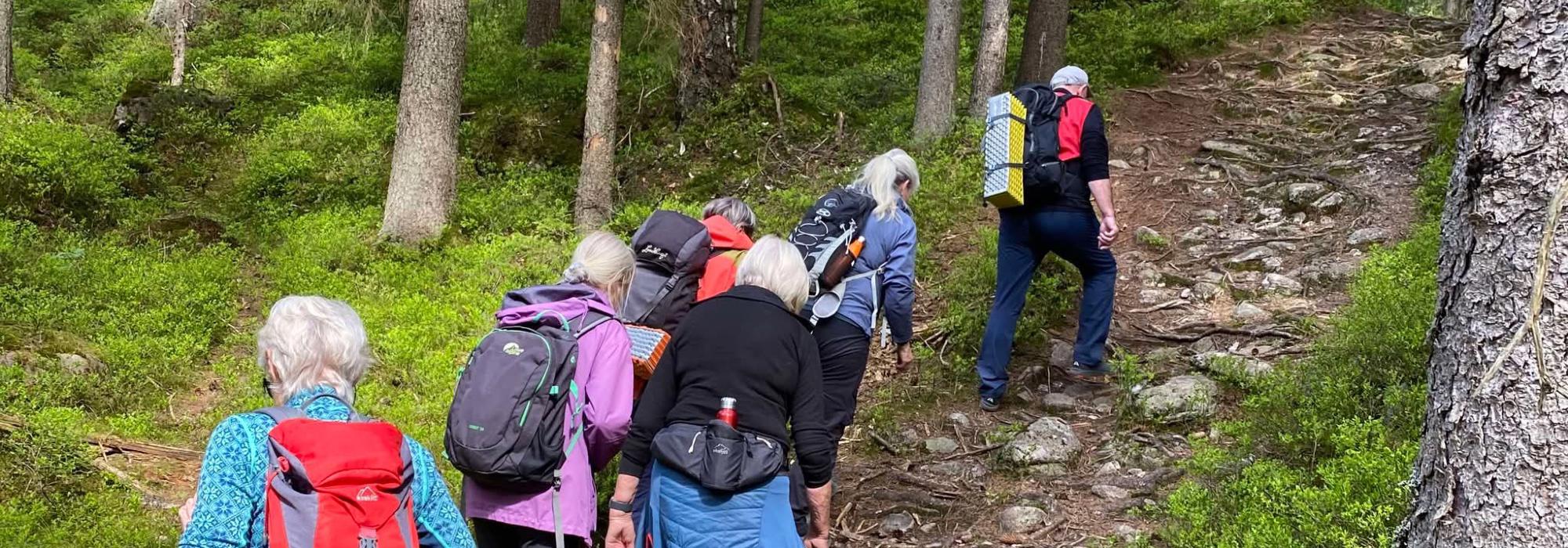 Nærtur fra Sognsvann